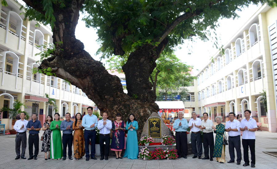 Cây[-]Điệp[-]Phèo[-]heo[-]Trường[-]THCS[-]Phú[-]Hòa[-]được[-]công[-]nhận[-]Cây[-]Di[-]sản[-]Việt[-]Nam